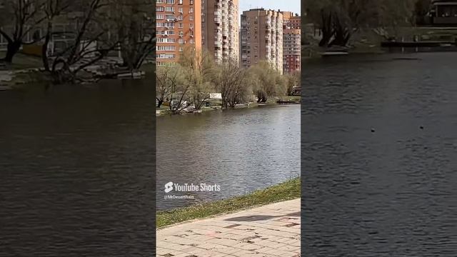 Озеро во дворе жилого квартала