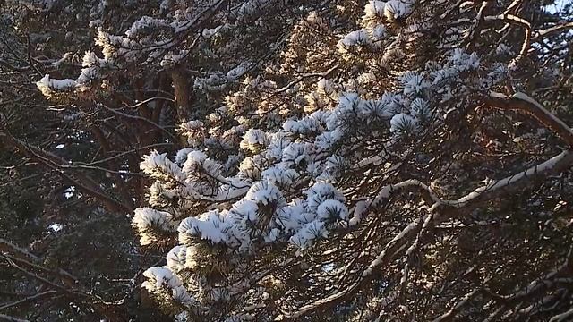 ПРОГНОЗ ПОГОДЫ НА НЕДЕЛЮ