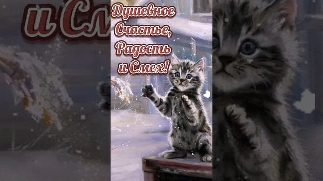 Доброе утречко!