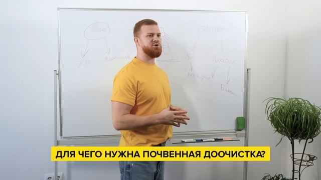БИОСЕПТИК ИЛИ ВЫГРЕБНАЯ ЯМА? / Плюсы и минусы разных видов септиков