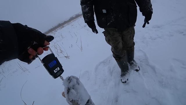 РЫБАЛКА НА ЖЕРЛИЦЫ.ЗАЦЕП НЕОЖИДАННО ОЖИЛ.