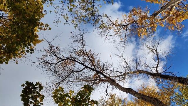 Подвижница Благочестия. Схимонахиня Серафима (Ушакова) Бирюлёвская. Аудиокнига, часть 2.