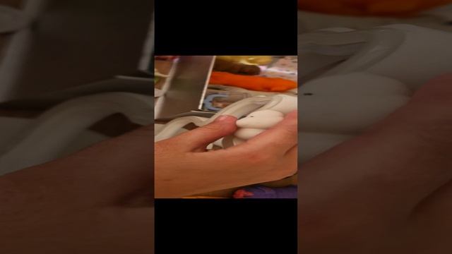 новый сквиш 😱