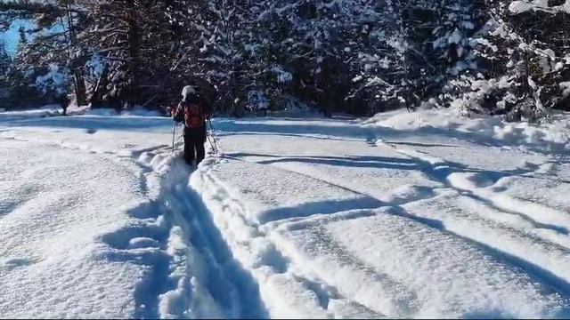 в горах с Галиной 14.01.25.