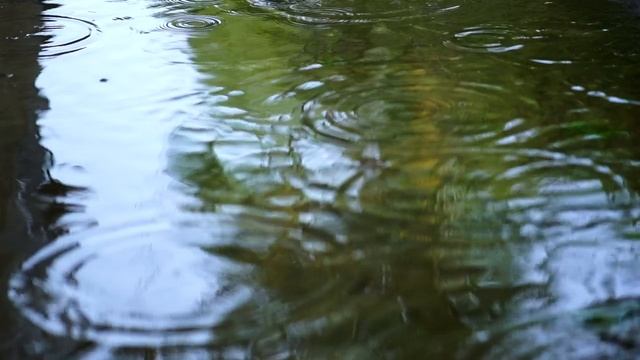 Дождь, падающий на воду озера, видимого вблизи