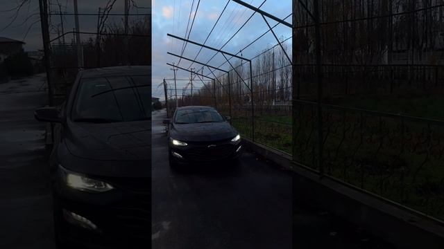 малибу
