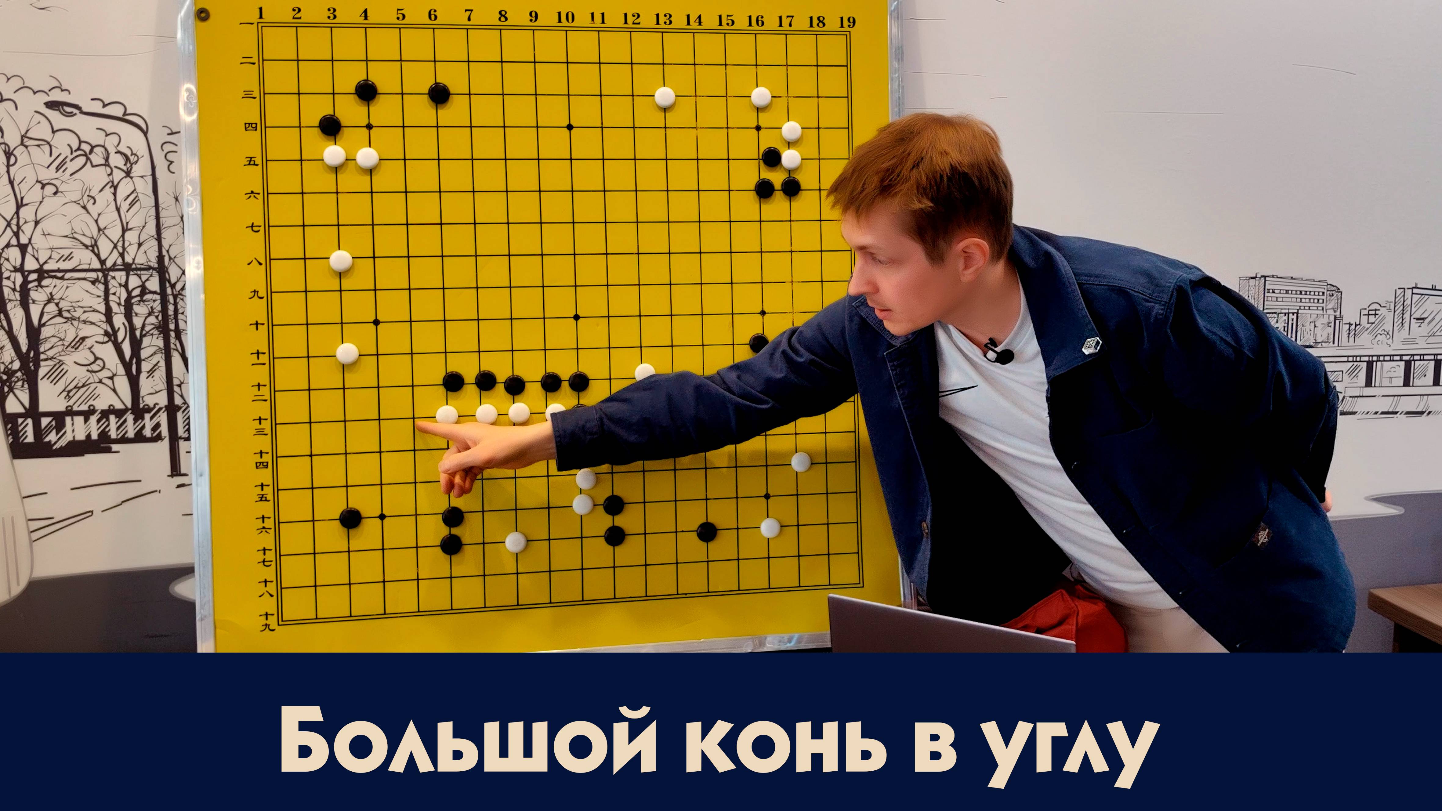 Большой конь в углу. Уроки Го Алексея Кожункова