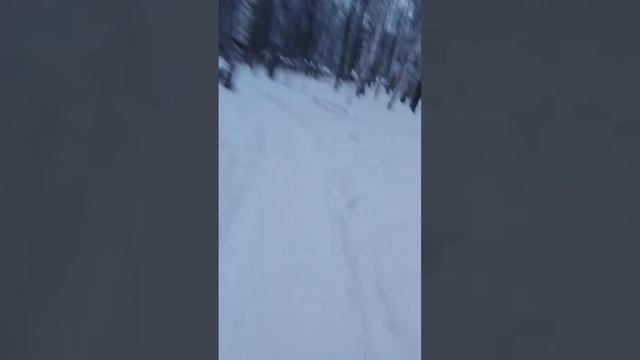 VID-20250114-WA0026