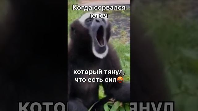 Когда сорвался ключ