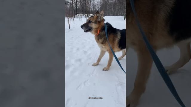 Его бросили,но он продолжает ждать