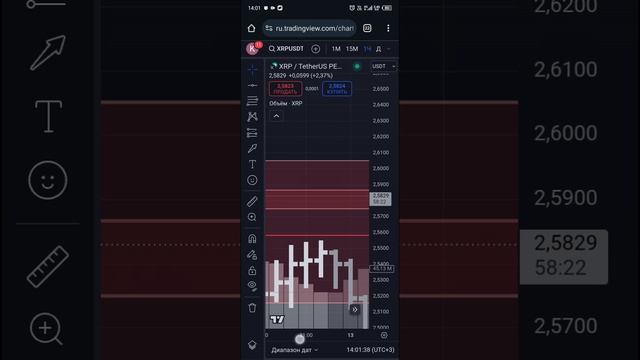 14/01/25 обзор xrpusdt p. на 14-00