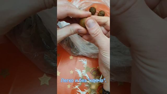 Орех макадамия