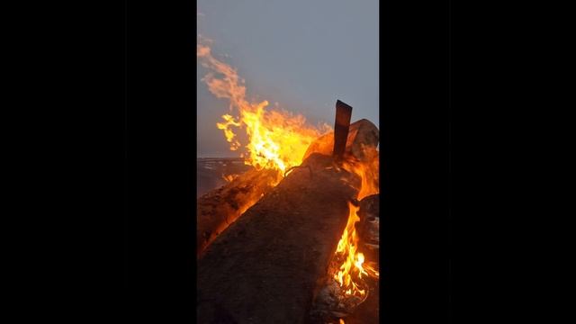 29 СеНТЯбря 2024г..mp4