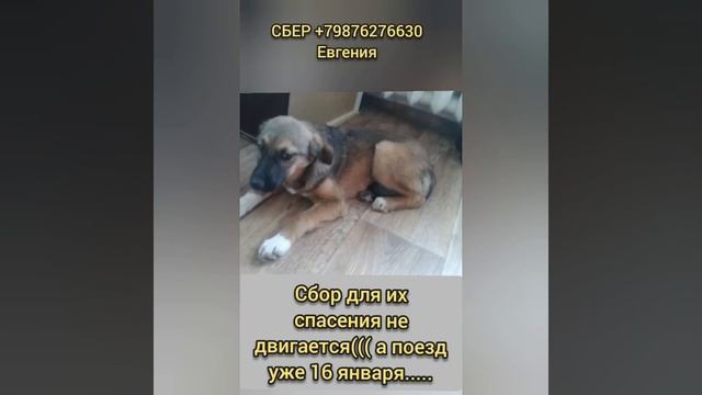 95da13bd-77d5-4814-90c5-f57f49e3af0e