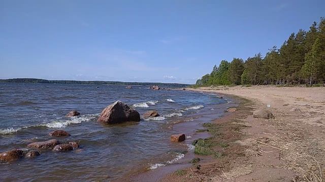 Приморское шоссе. Не далеко от Ермилово.mp4