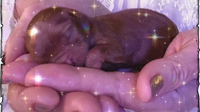 Здравствуй мир,вот и я!