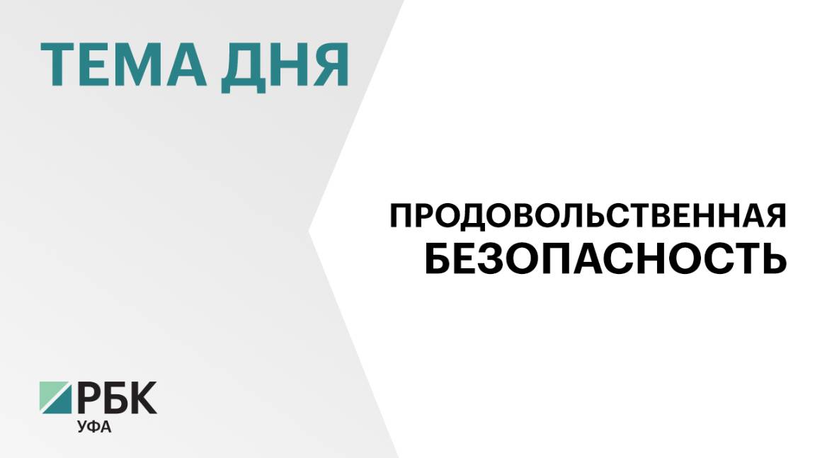 В Башкортостане за 11 мес. 2024 г. произвели продуктов питания и напитков на ₽170 млрд