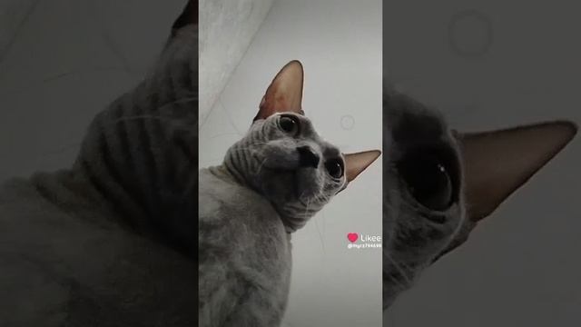 Мурзанка&Марик///
