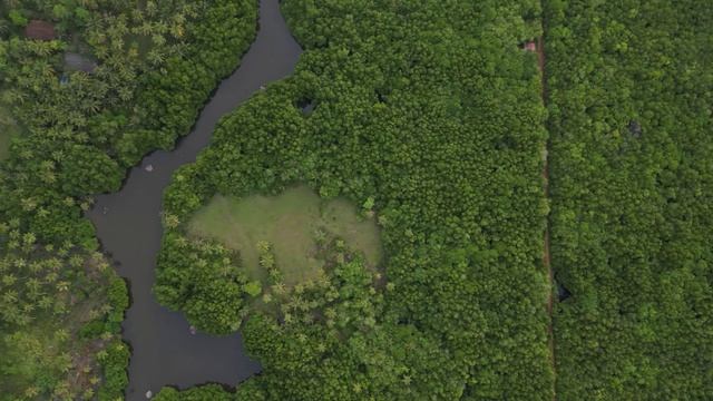 Sri-Lanka Dron Video Meditation (balearic mix)