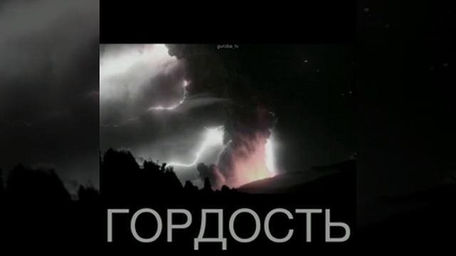 Гордость