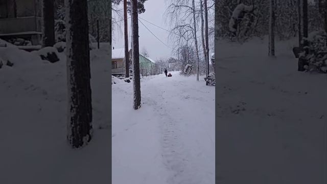 Зимние забавы. Зимние каникулы