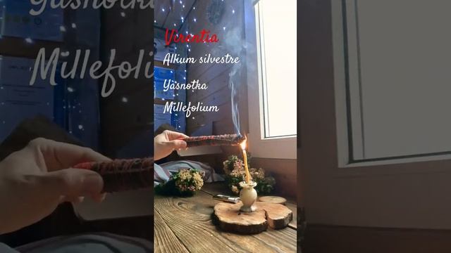 лесная лавка Росстань