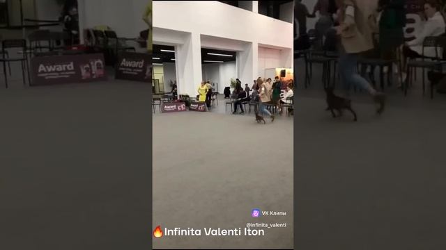 Infinita Valenti Iton - 4mes