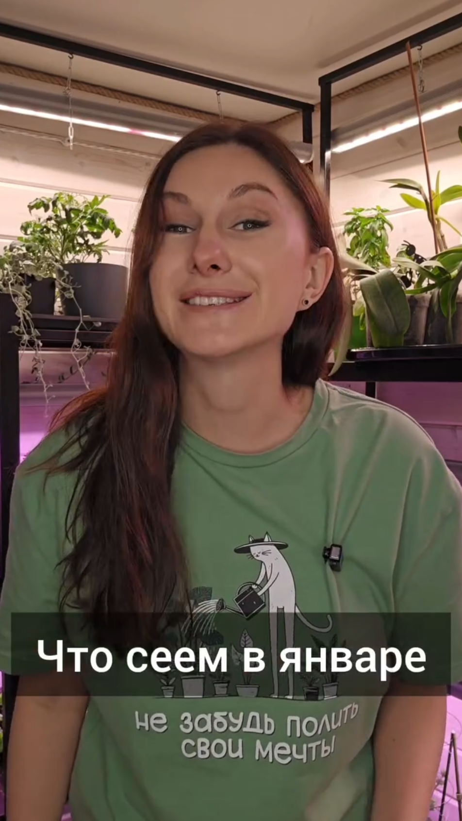 Что сеять в январе?