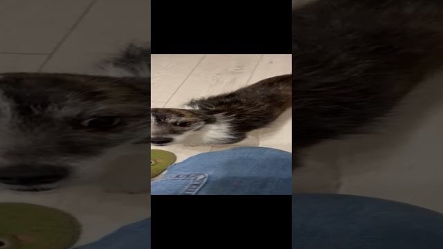 1000001593.mp4