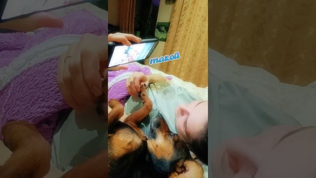 Любимки мои❤️