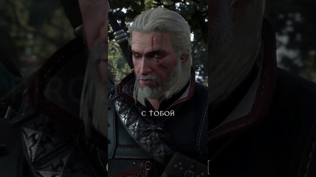 Приятный собеседник  Ведьмак 3 shorts witcher ведьмак мемы игры рекомендации тролль