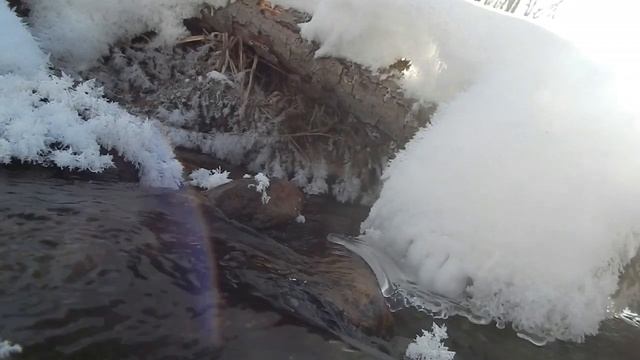 Ручей в Старый Новый год