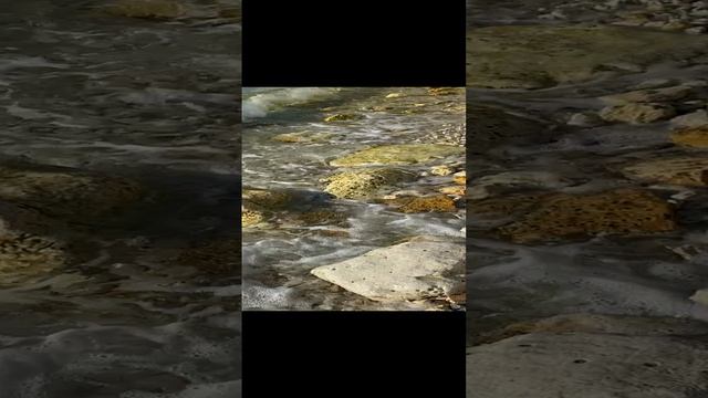 Берег Моря с волнами, с прозрачной водой, с камушками, с морским шумом