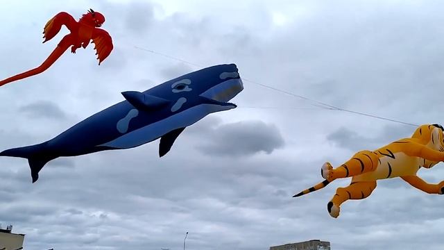 Международный фестиваль уличного искусства. Шоу гигантских воздушных змеев.
