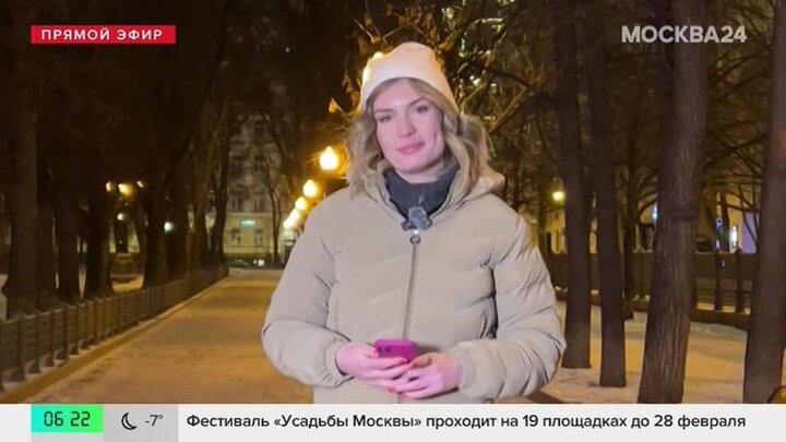 "Утро": скорость ветра в Москве достигнет 3–6 м/с 14 января