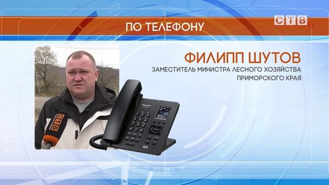 Полосатые хищники продолжают выходить в населенные пункты Хасанского округа и давить собак