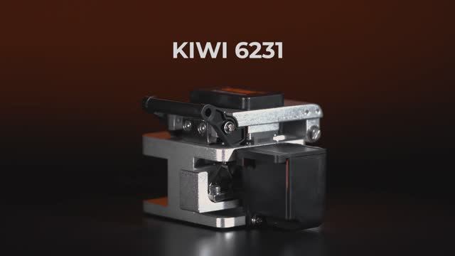 KIWI 6231