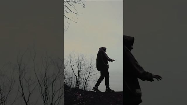 киндерпингви – за стеной (snippet)