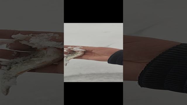 14-01-2025