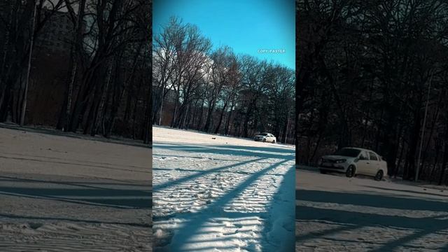 Суетолог#copypaster