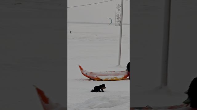 31 декабря. Обычный день Архангельска.