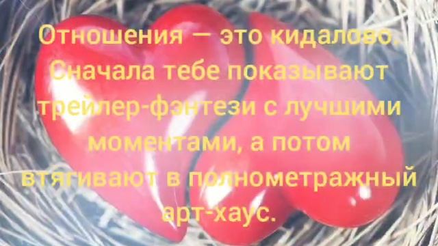 Анекдоты