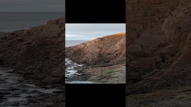1000032363.mp4