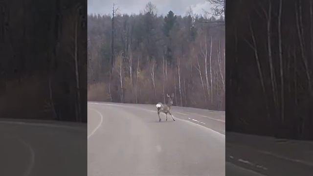 Однажды на Солнечном...