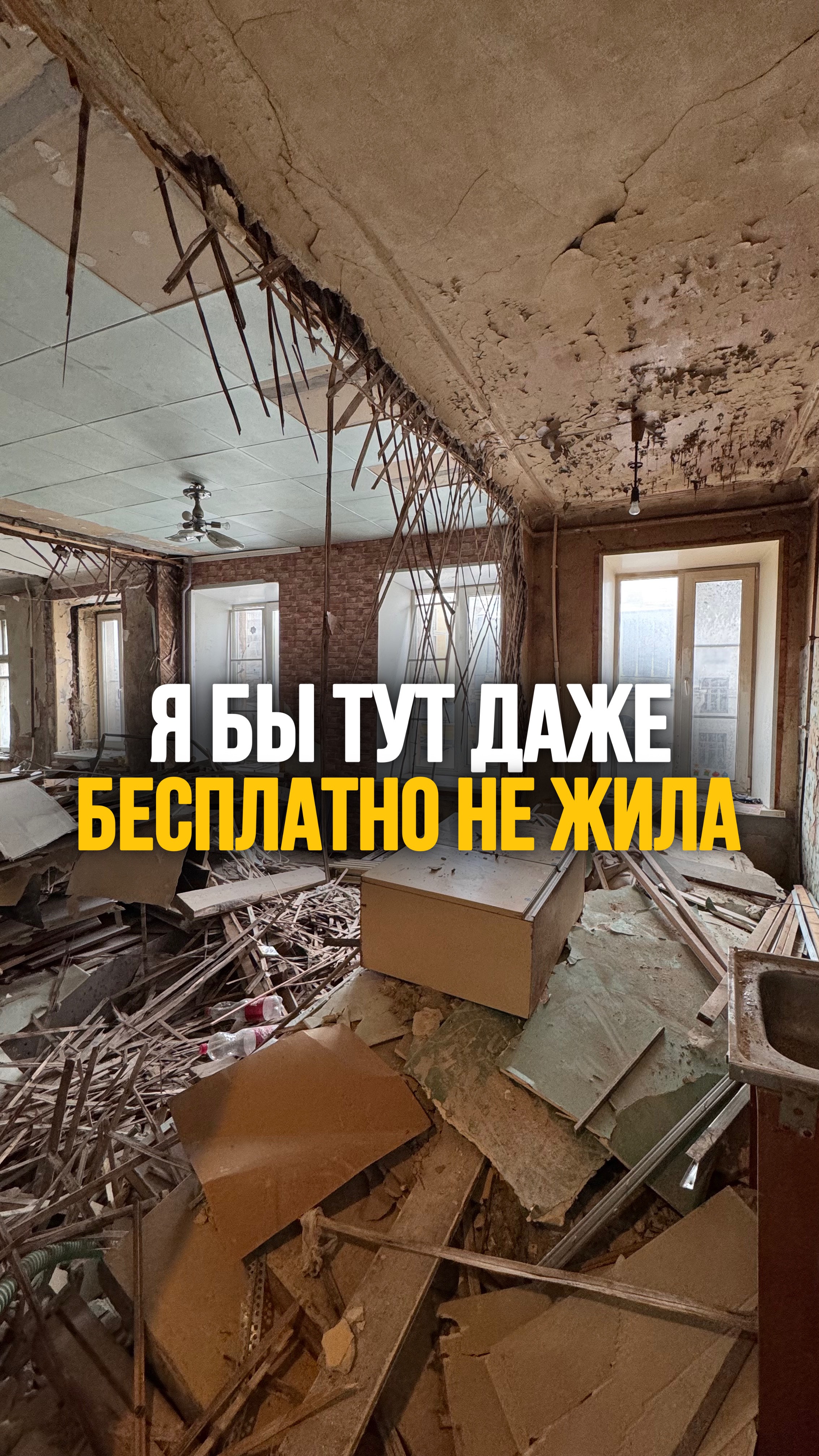 Я бы тут даже не жила #shorts