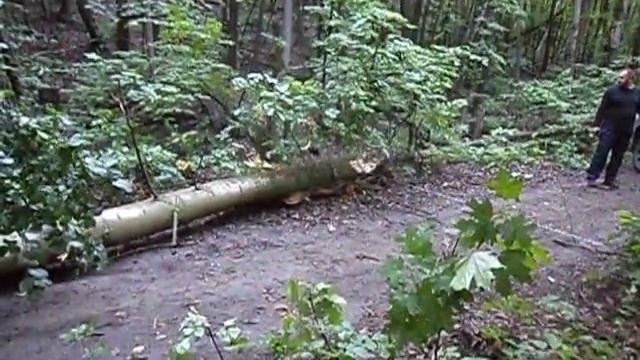 расчистка дороги на серпантин