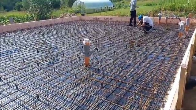 VID-20250114-WA0000.mp4