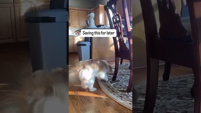 1000071280.mp4