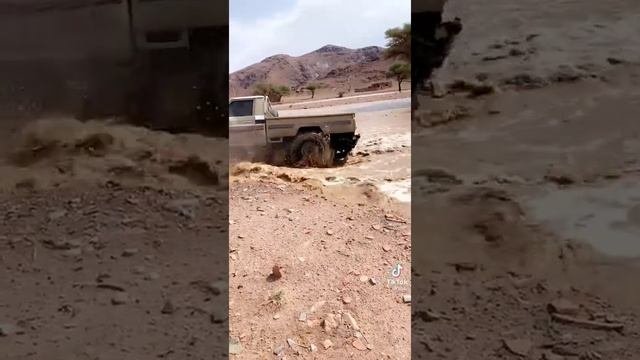 Landcruiser 79 Series Single Cabin Off-roading In River