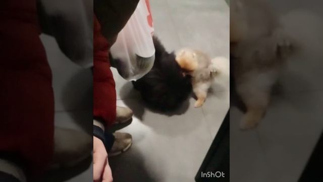 1000048476.mp4